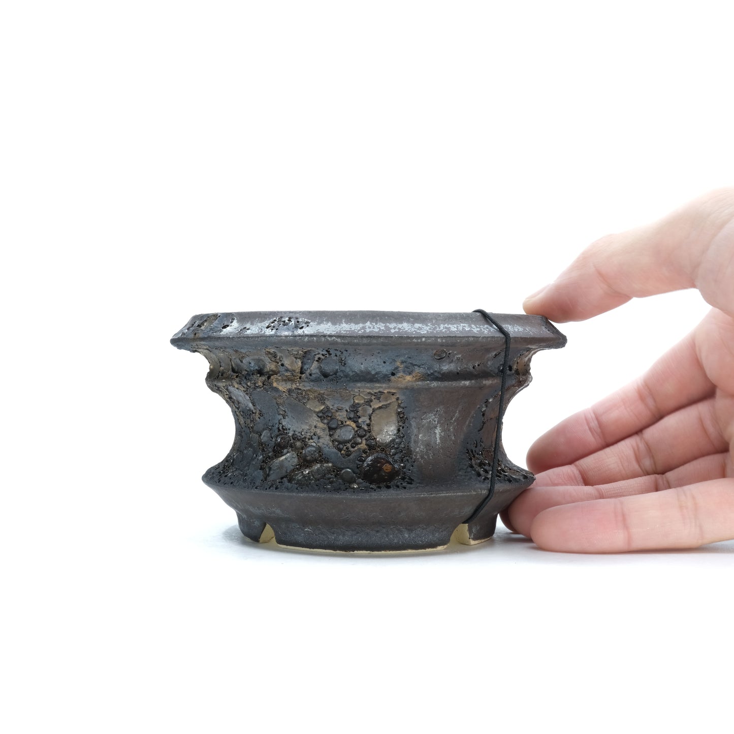 WHV177 / Wild heaven -TENKUu-