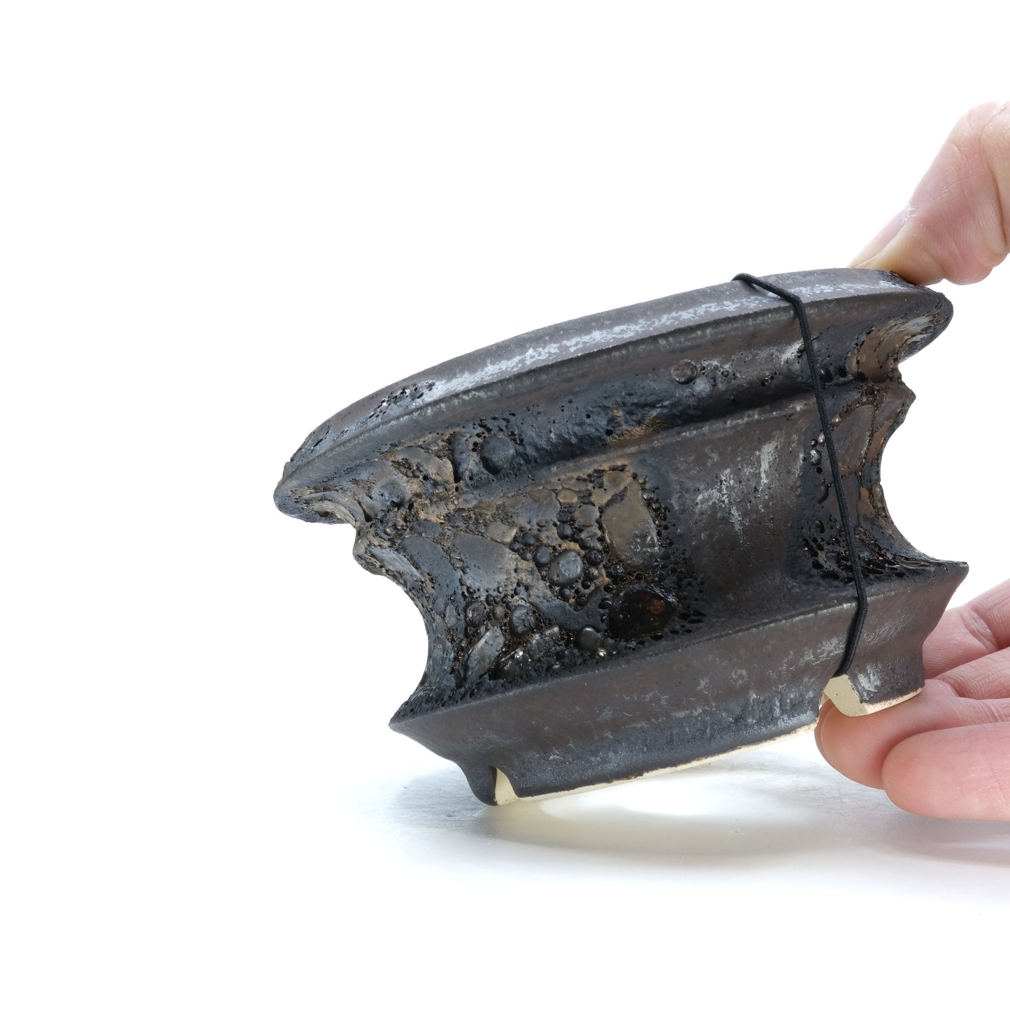 WHV177 / Wild heaven -TENKUu-