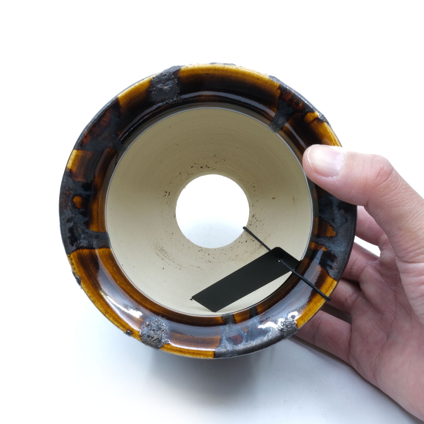 WHV183 / Wild heaven -MARU-