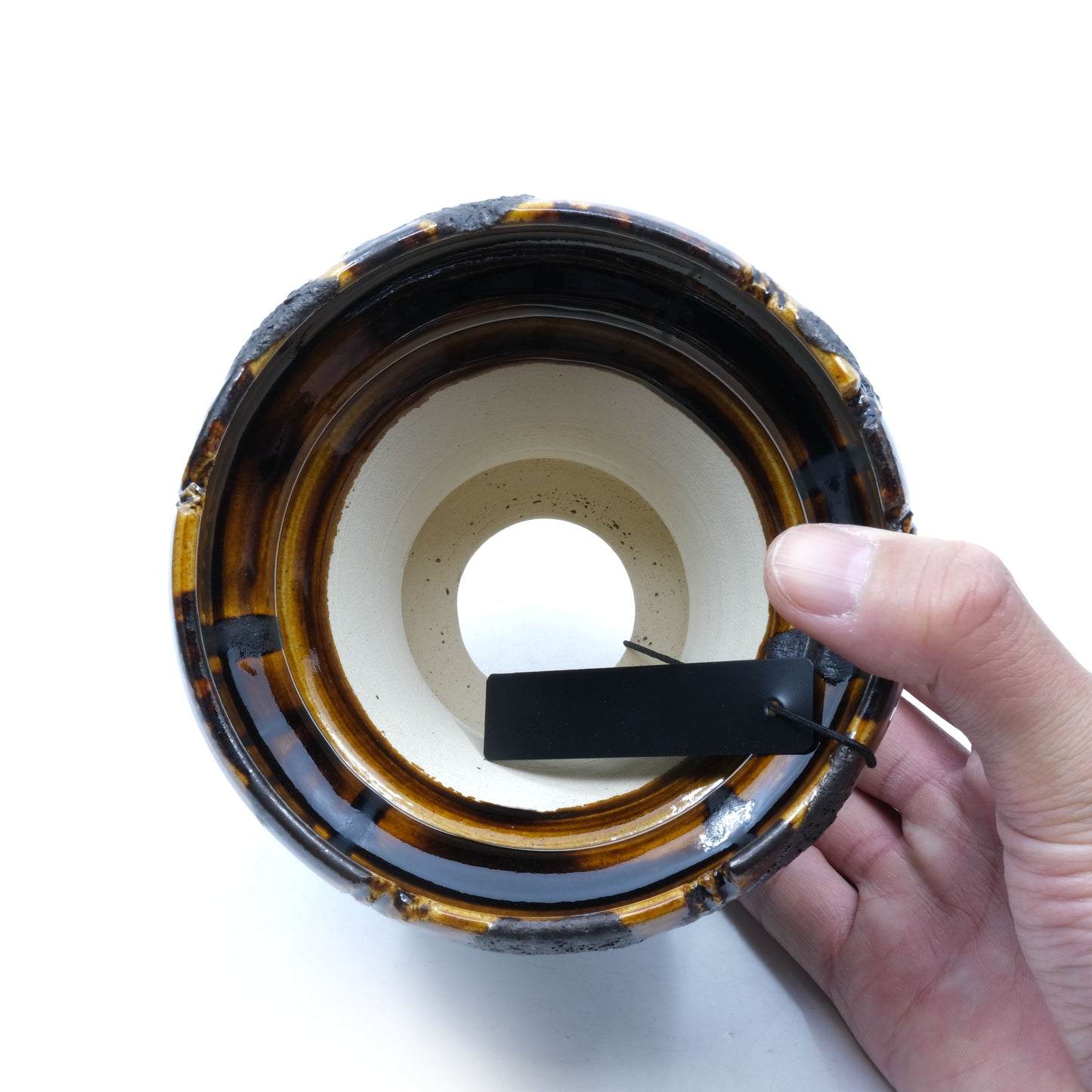 WHV184 / Wild heaven -MUGEN-