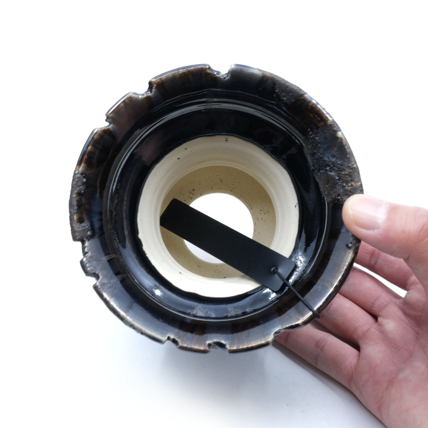 WHV186 / Wild heaven -OLD CASTLE-