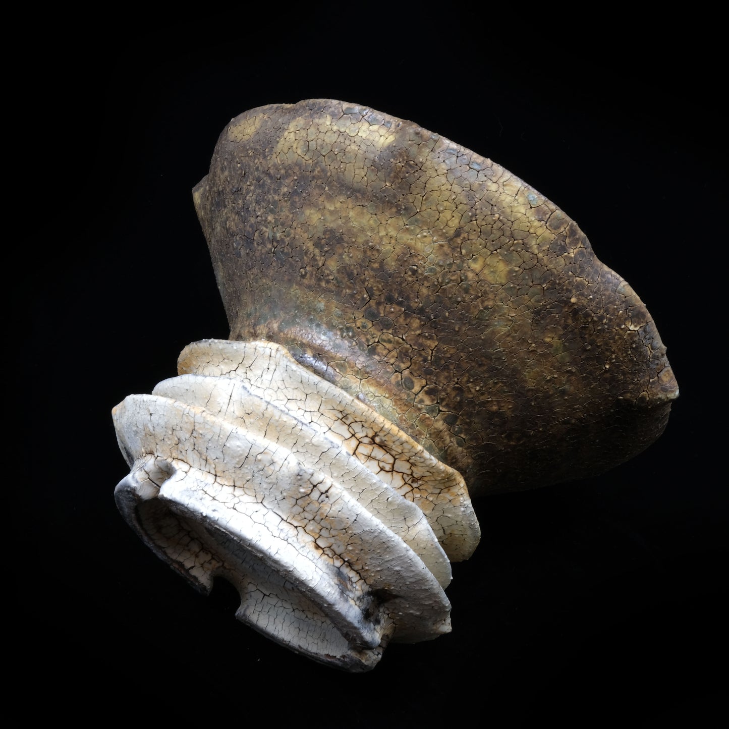 KEN10 / Takeshi Sakamoto, 彩花 -Ayaka, Brown-