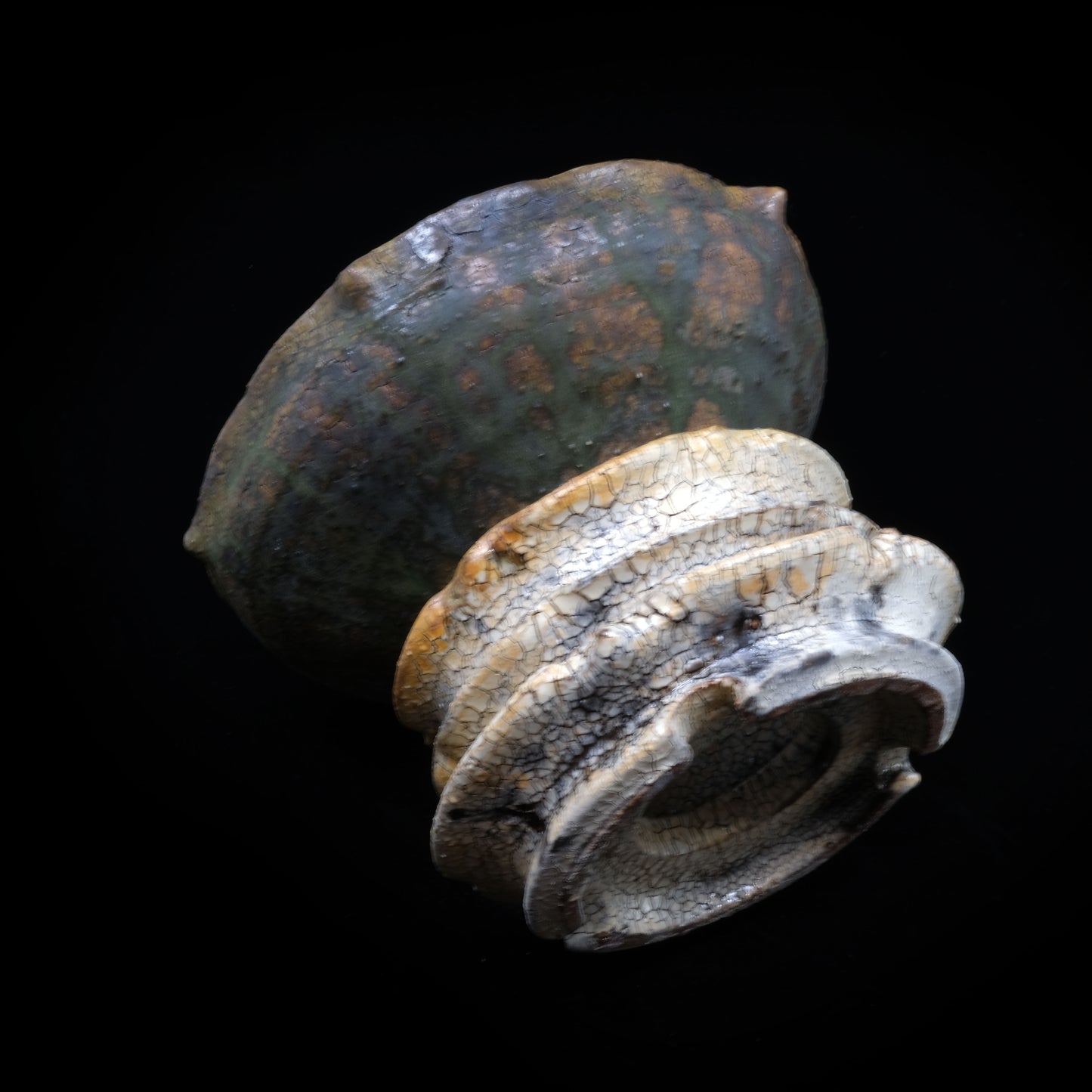 KEN11 / Takeshi Sakamoto, 彩花 -Ayaka, Green-