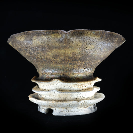 KEN10 / Takeshi Sakamoto, 彩花 -Ayaka, Brown-