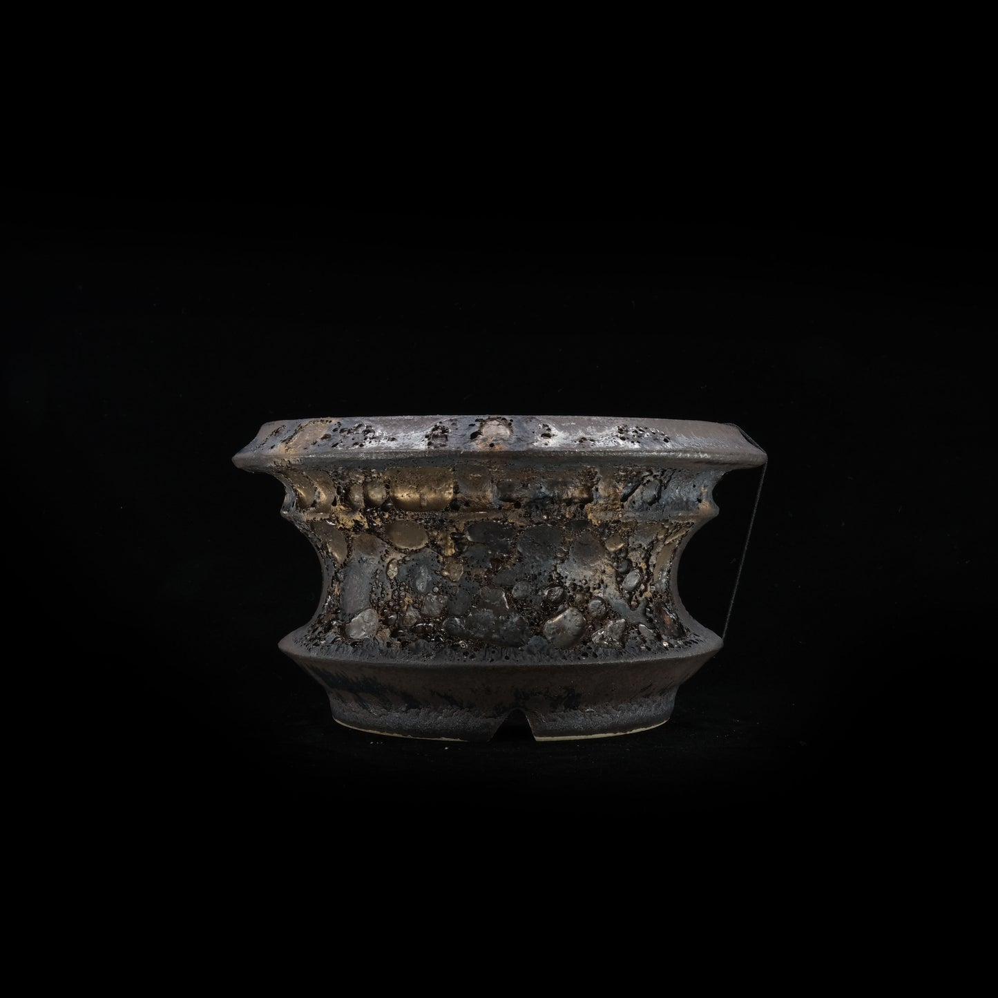 WHV177 / Wild heaven -TENKUu-