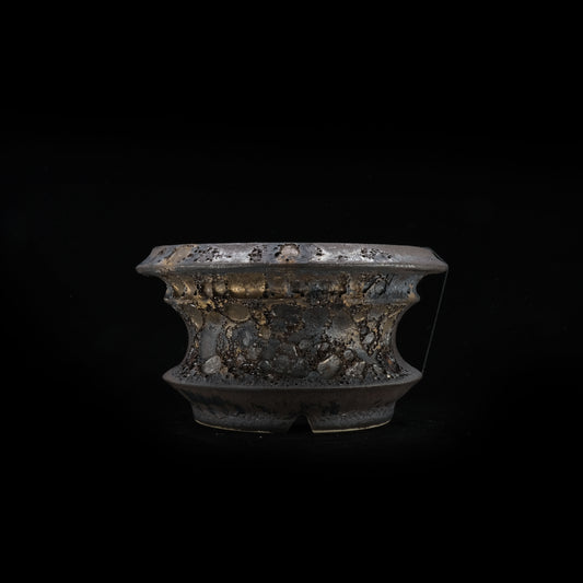 WHV177 / Wild heaven -TENKUu-