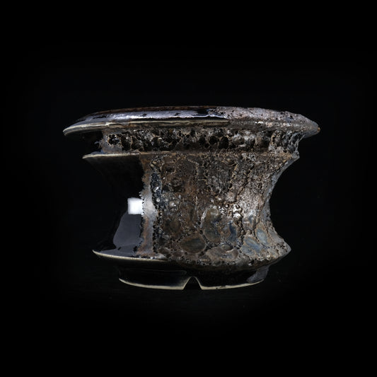 WHV178 / Wild heaven -TENKUu-