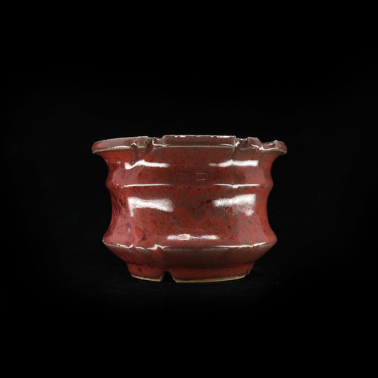 WHV179 / Wild heaven -PLEASURE-