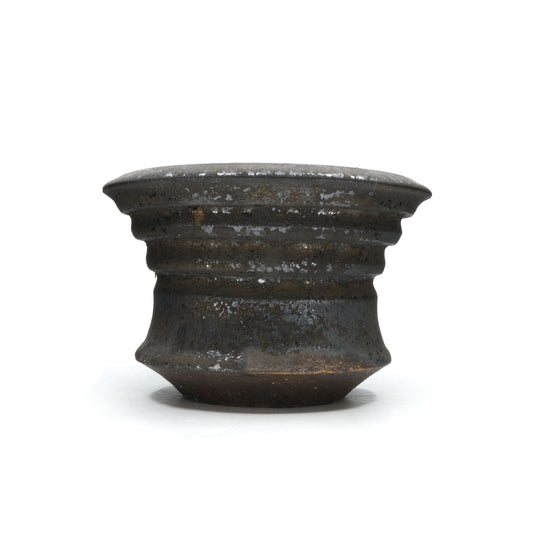 HMN61 / Shota Himeno "Gold-colored noppo"