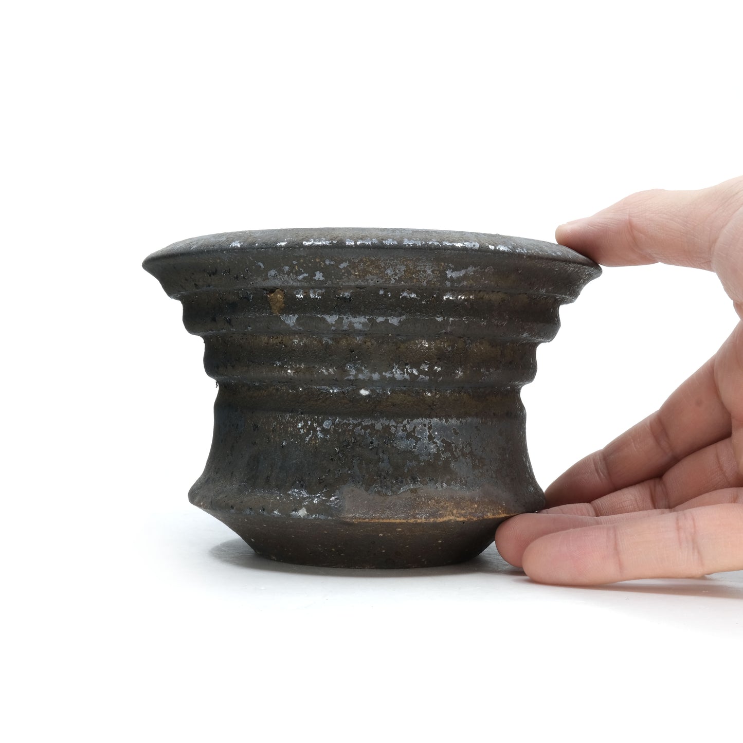 HMN61 / Shota Himeno "Gold-colored noppo"