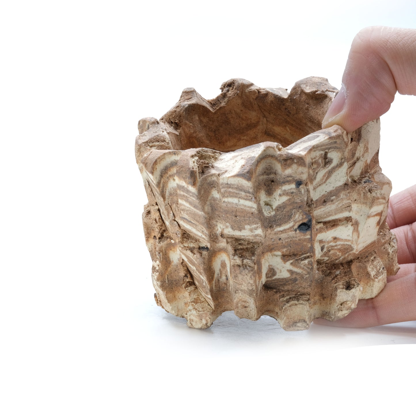 HMN69 / Shota Himeno "Mini Marble Tsubomi"