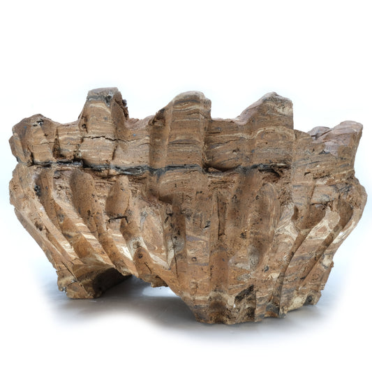 HMN70 / Shota Himeno "Four months in the making Marble BIG Tsubomi"