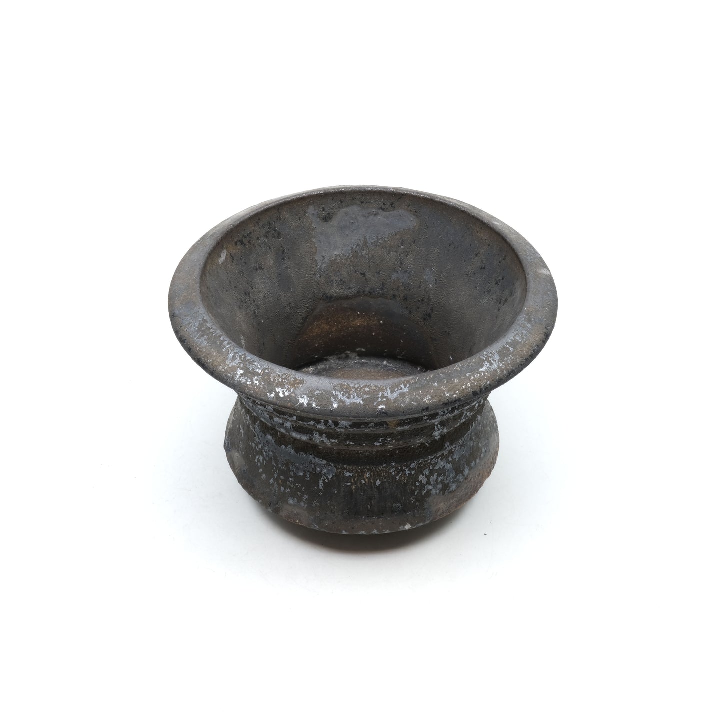 HMN61 / Shota Himeno "Gold-colored noppo"