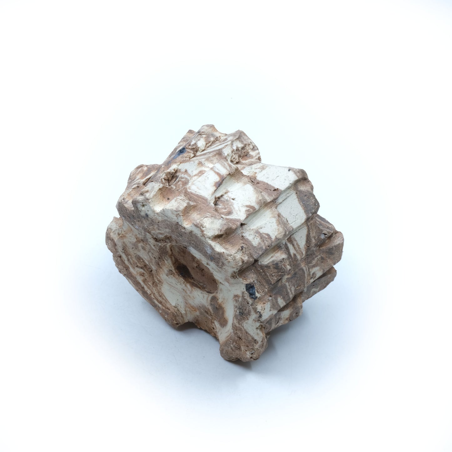 HMN69 / Shota Himeno "Mini Marble Tsubomi"