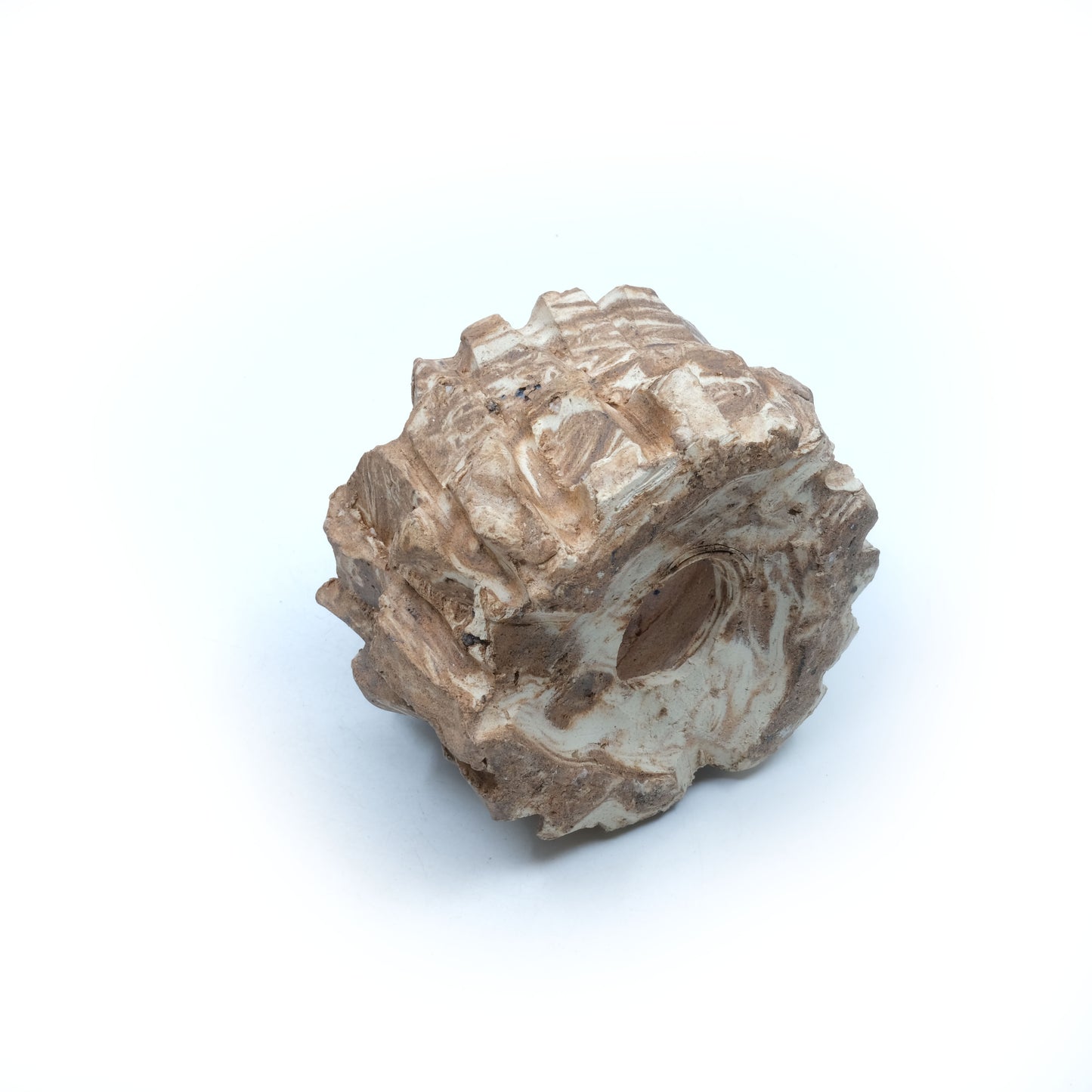 HMN69 / Shota Himeno "Mini Marble Tsubomi"