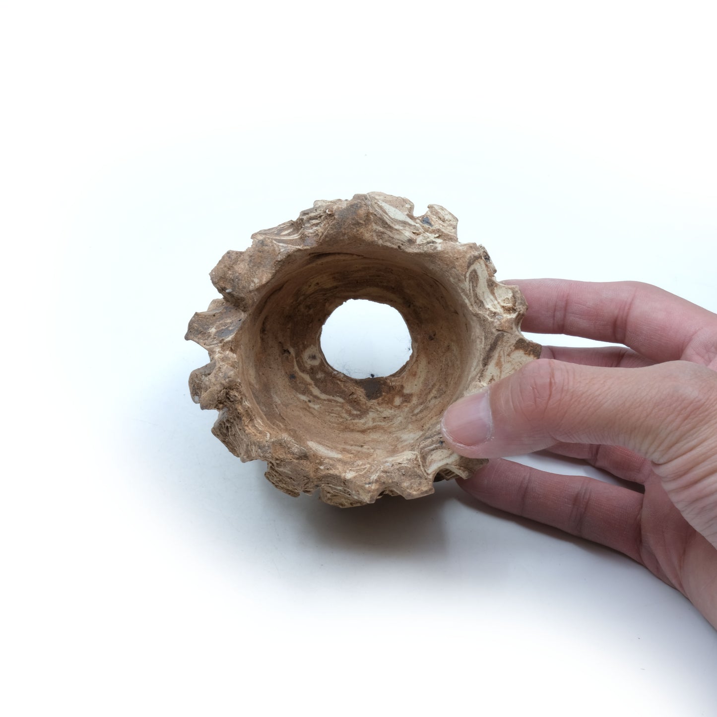 HMN69 / Shota Himeno "Mini Marble Tsubomi"