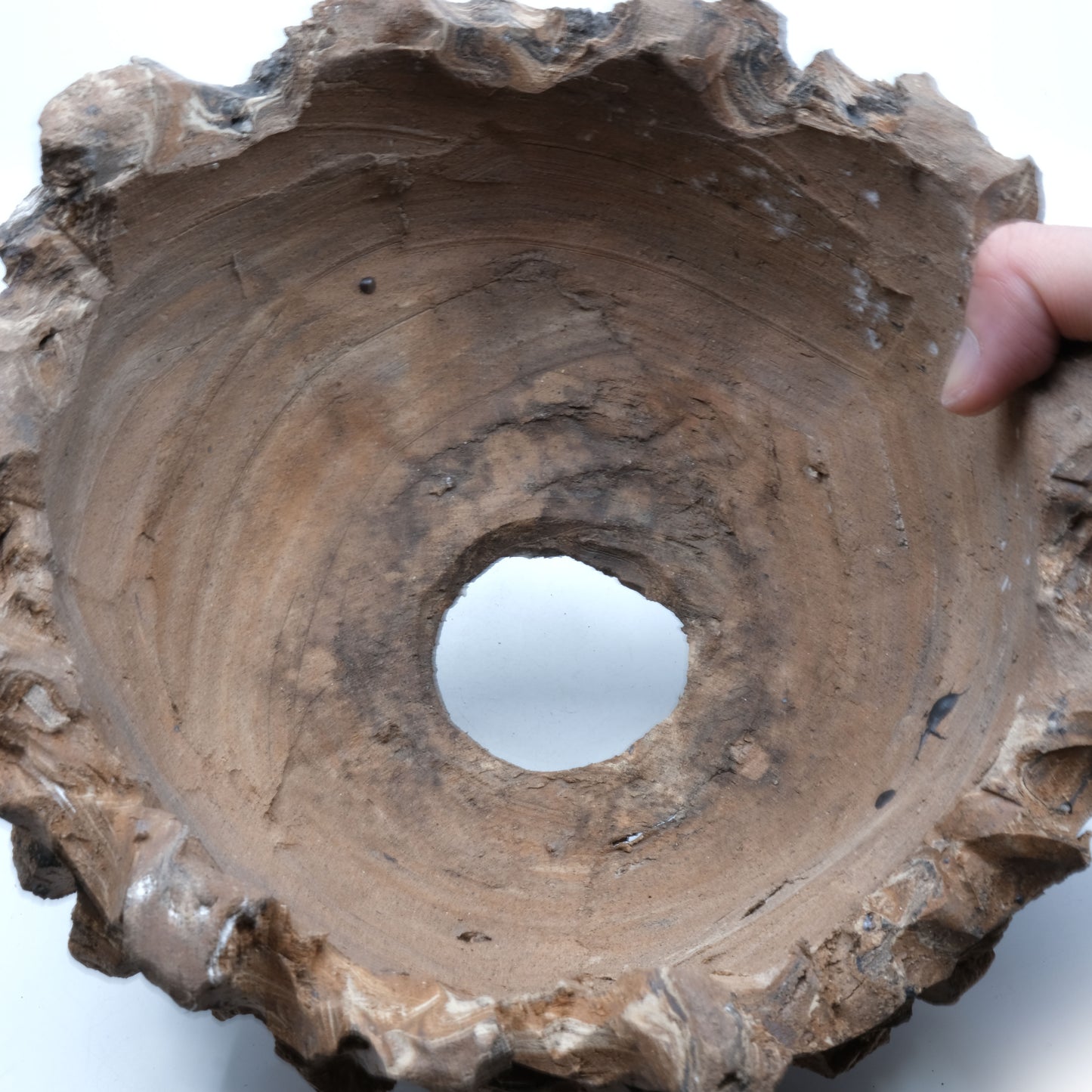 HMN70 / Shota Himeno "Four months in the making Marble BIG Tsubomi"