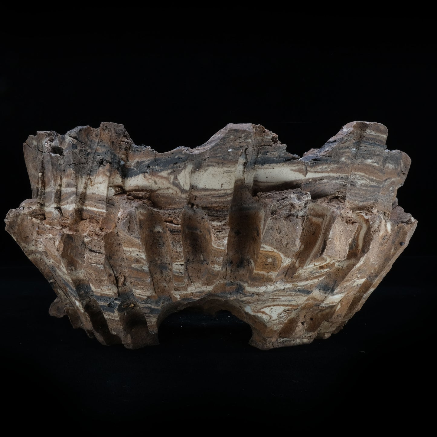 HMN70 / Shota Himeno "Four months in the making Marble BIG Tsubomi"