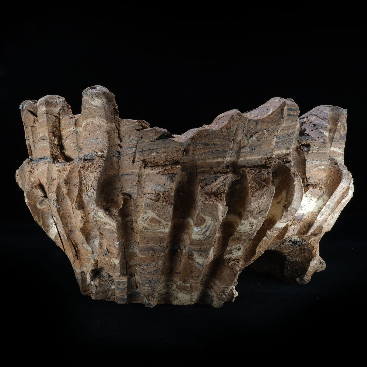 HMN70 / Shota Himeno "Four months in the making Marble BIG Tsubomi"