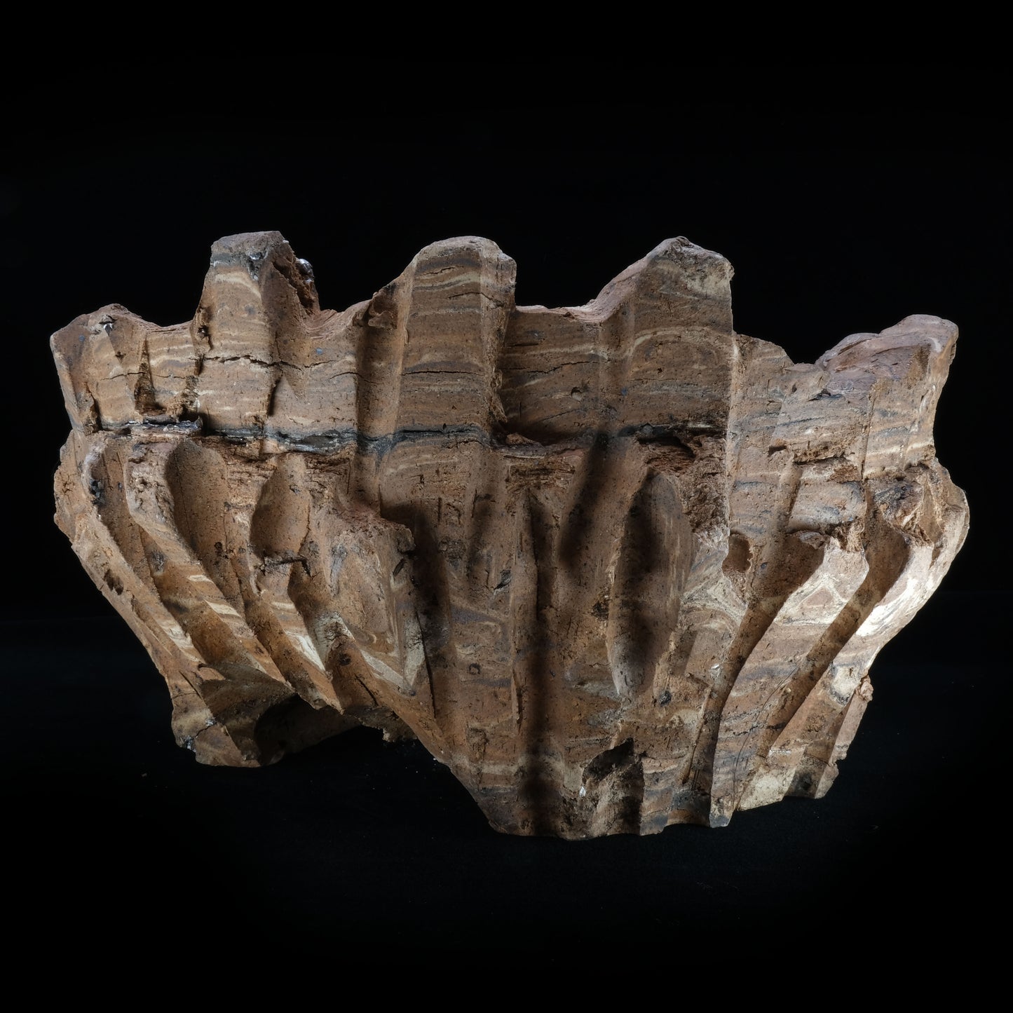 HMN70 / Shota Himeno "Four months in the making Marble BIG Tsubomi"