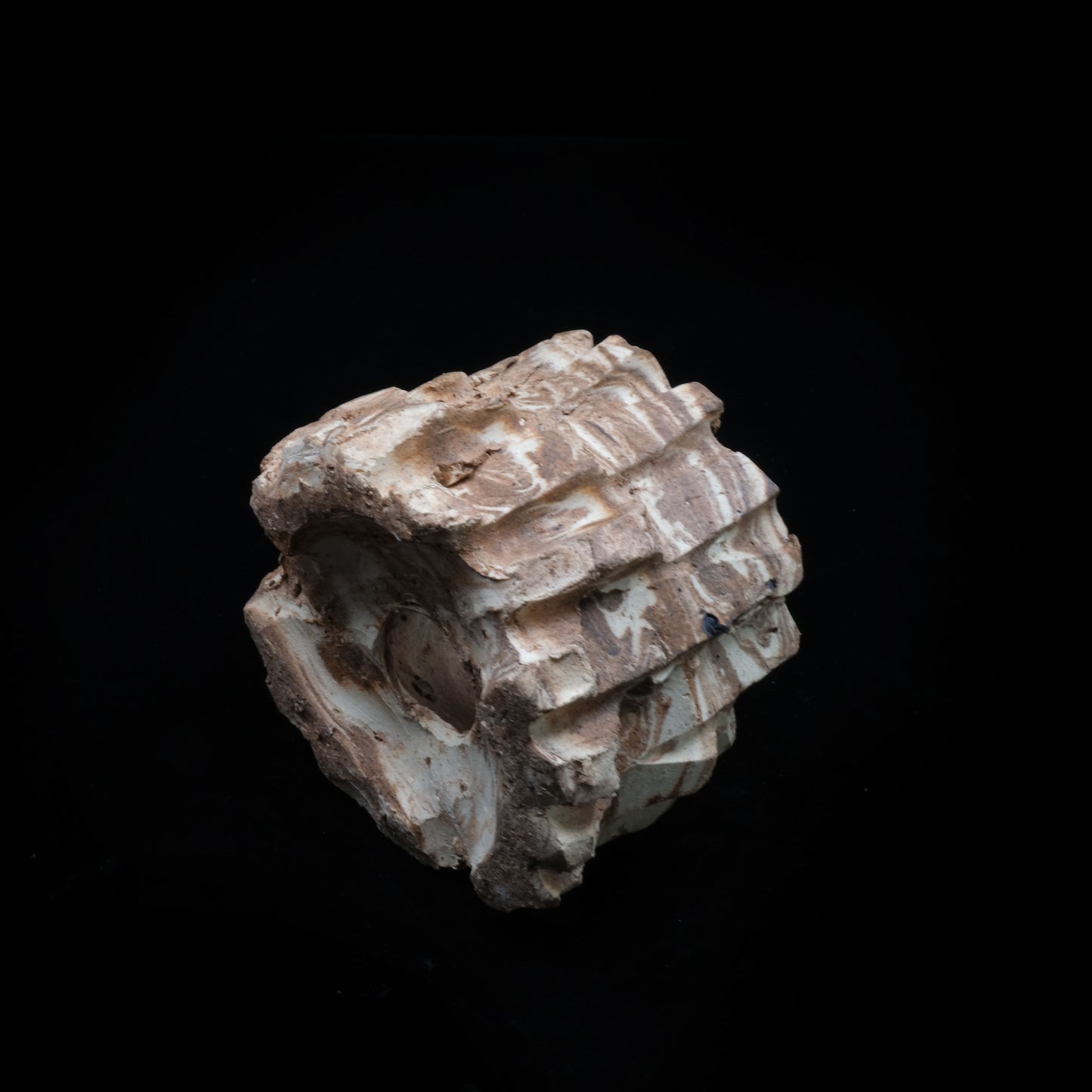 HMN69 / Shota Himeno "Mini Marble Tsubomi"